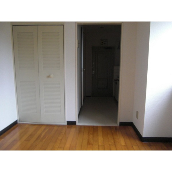 Living and room. Flooring of the room