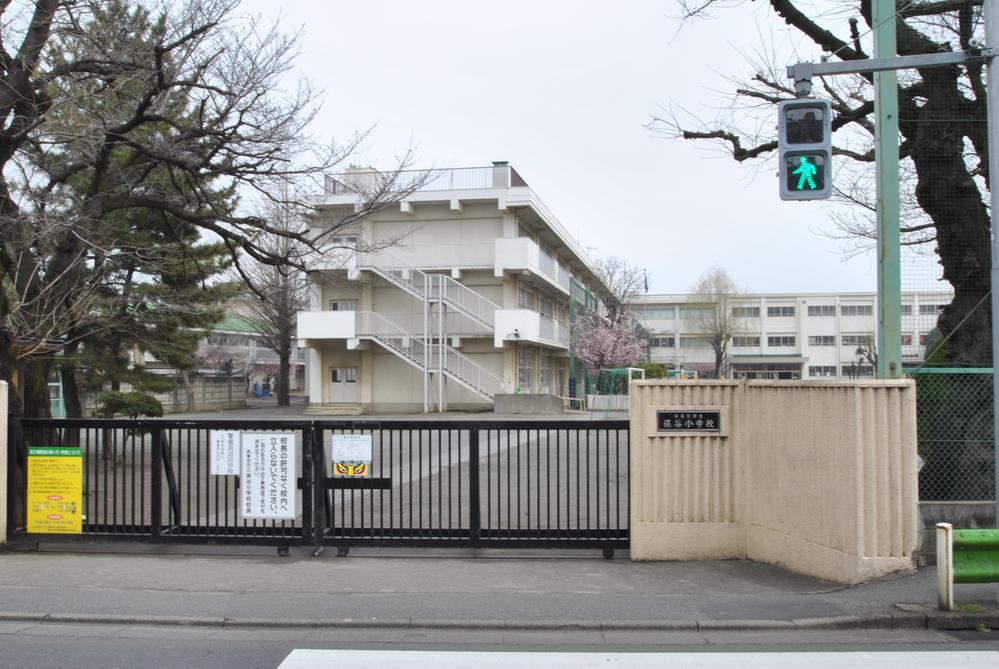 Primary school. Hoya 700m up to elementary school Hoya elementary school