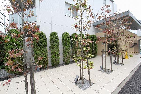 Entrance. Common areas