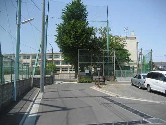 Local land photo. Local front road