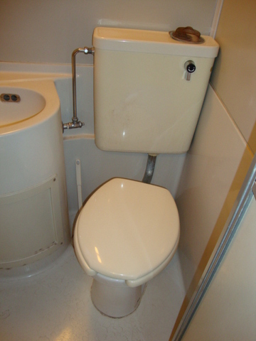 Toilet. Clean restroom