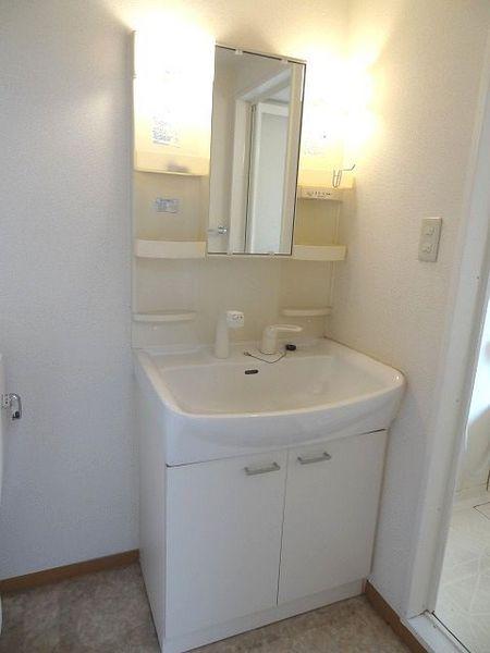 Washroom. Washbasin with shower