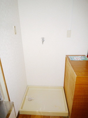 Other room space. Washing machine in the room