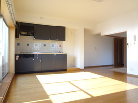 Kitchen. Living photo day is good.