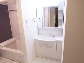 Washroom.  [Separate reference photograph] Independent wash basin