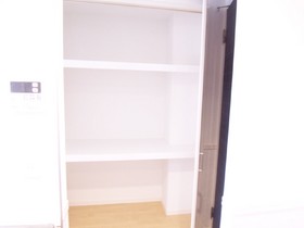 Other.  [Separate reference photograph] closet