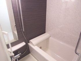 Bath.  [Separate reference photograph] Reheating function with bus