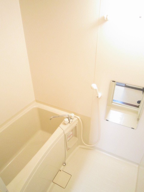 Bath. Spread of the bathroom