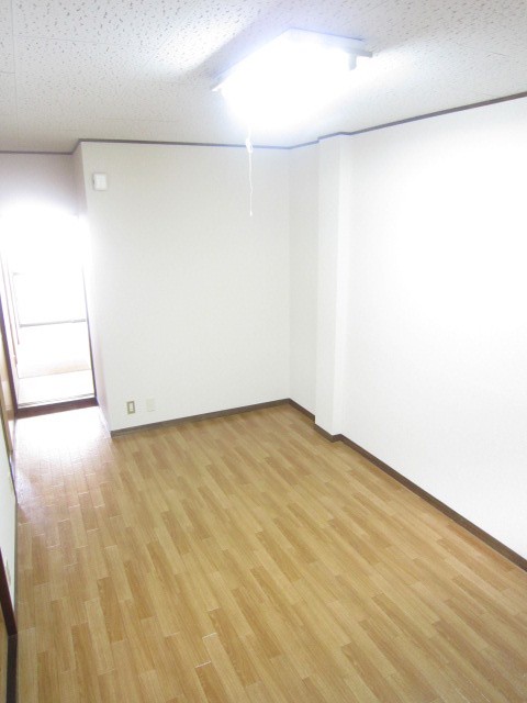 Living and room. Clean room