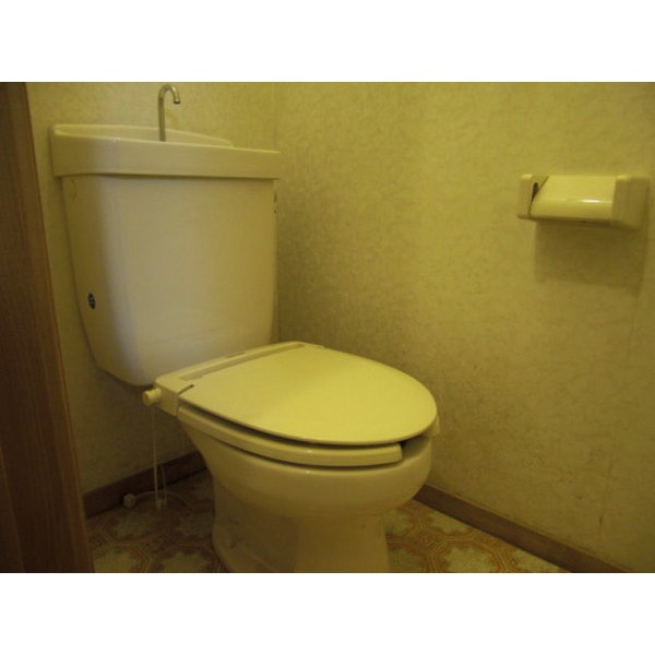 Toilet. Western-style toilet