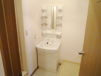 Washroom. Wash basin