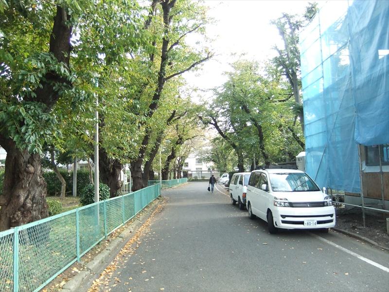 Local photos, including front road. Landscape with green is often calm.