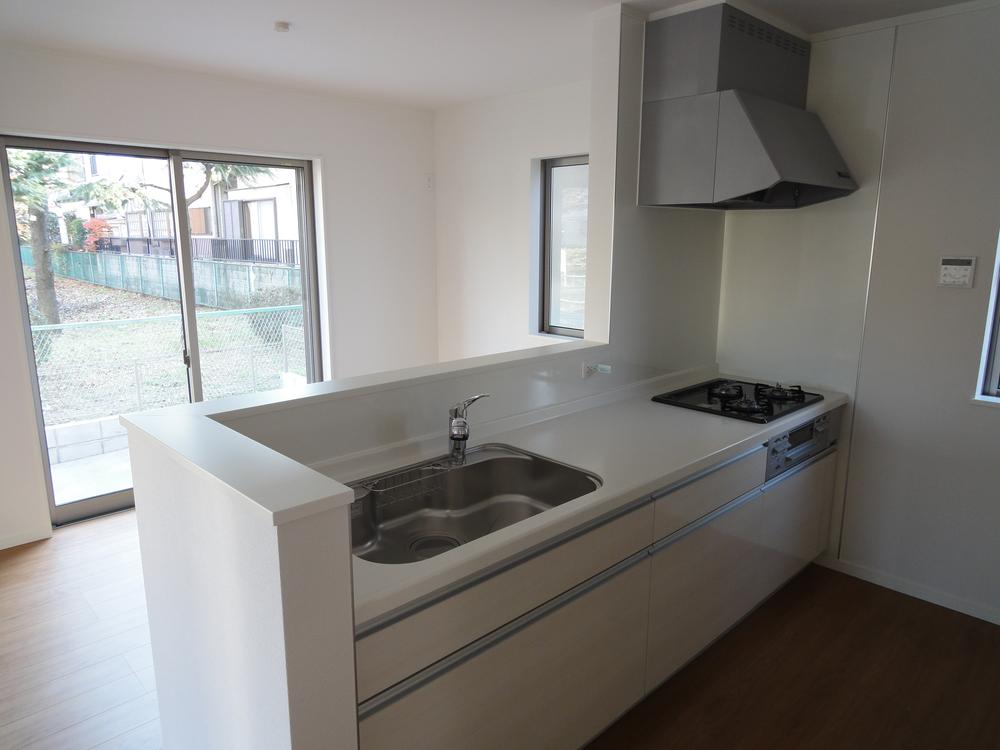 Kitchen. Indoor (12 May 2013) Shooting