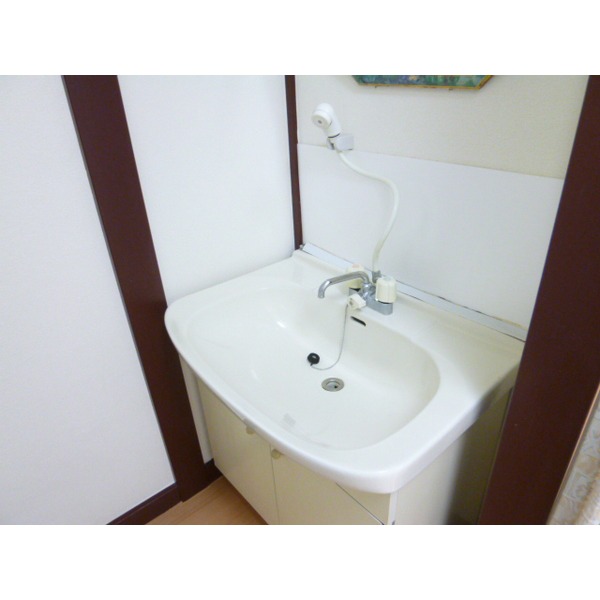 Washroom. Shampoo dresser