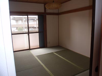 Other room space. Japanese style room