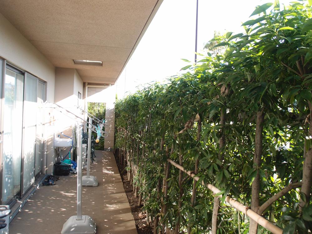 Balcony. Bright terrace facing the south