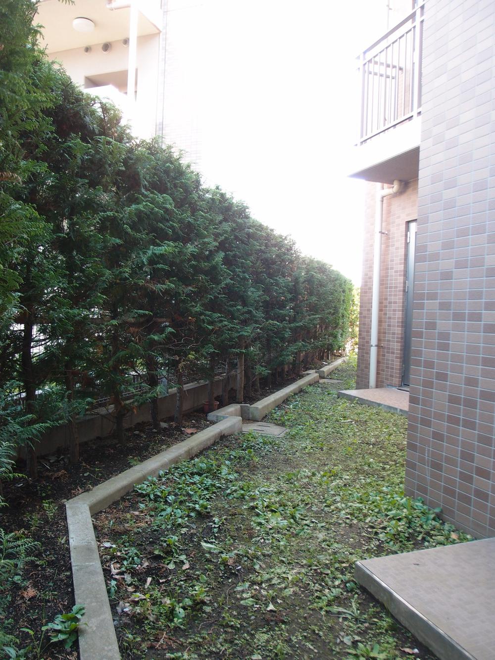 Garden. Private garden