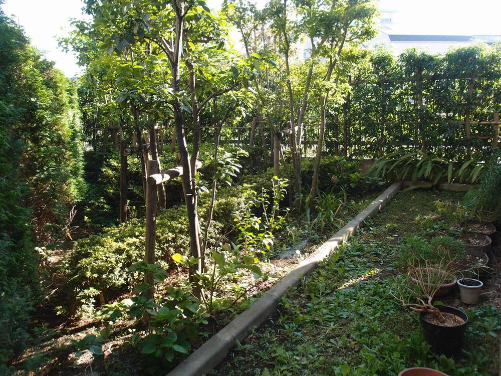 Garden. Private garden (2013 November shooting)