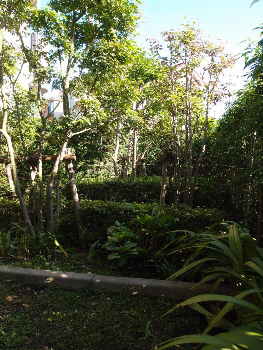 Garden. Part of the private garden has been planted with planting by the management union