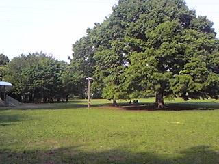 park. 1000m to Koganei Park cherry trees and the variation rich Koganei Park