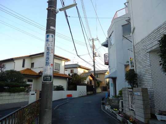 Local land photo. Front road (1)