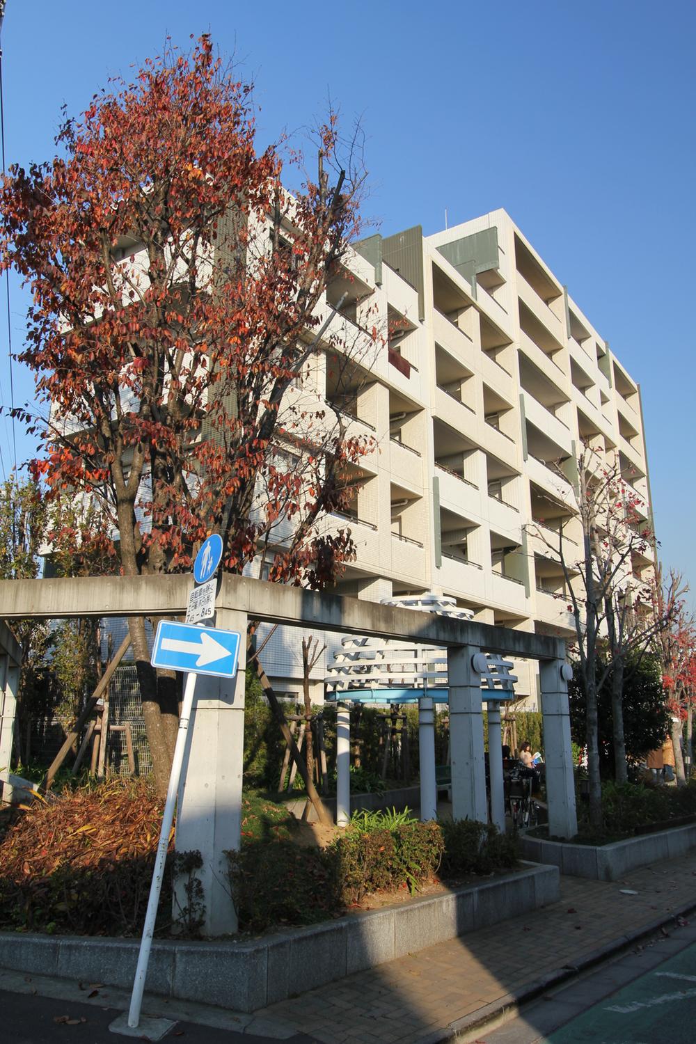 Local appearance photo. local