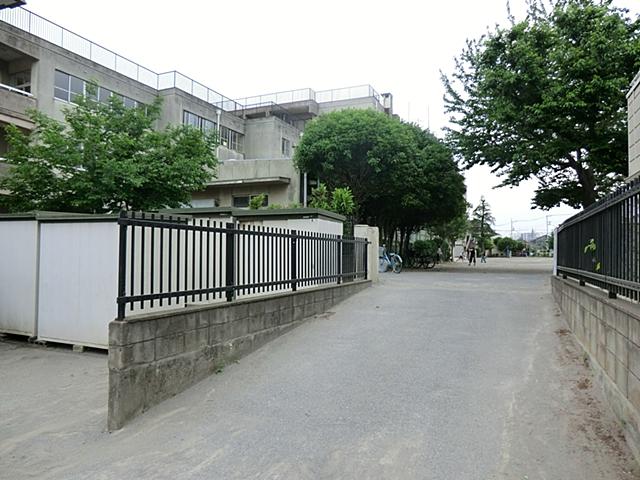 Primary school. Nishi Municipal Sumiyoshi to elementary school 280m
