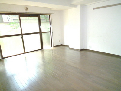 Living and room. Living 12.6 Pledge