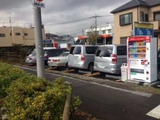 Local land photo. Appearance (1)