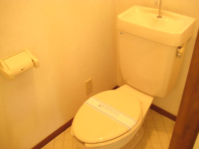 Toilet. Clean toilet