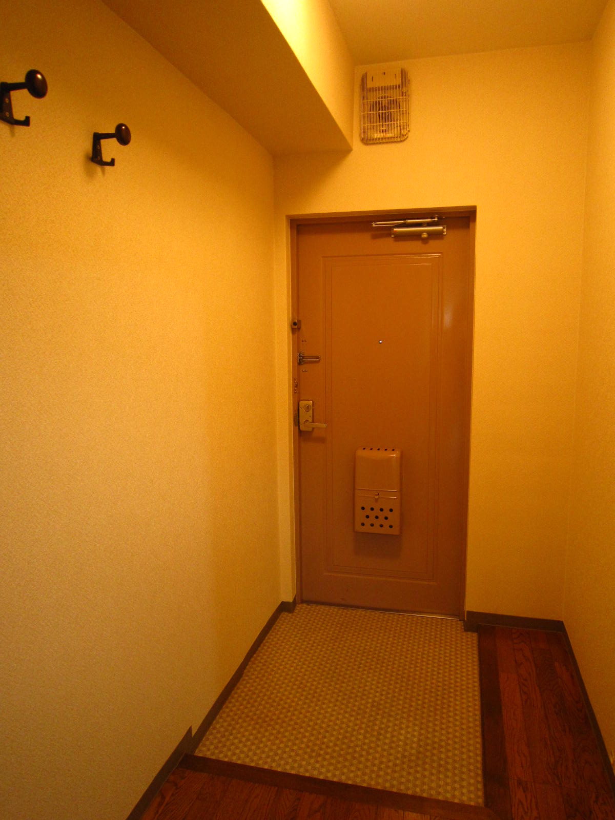Entrance. Entrance With a coat hook
