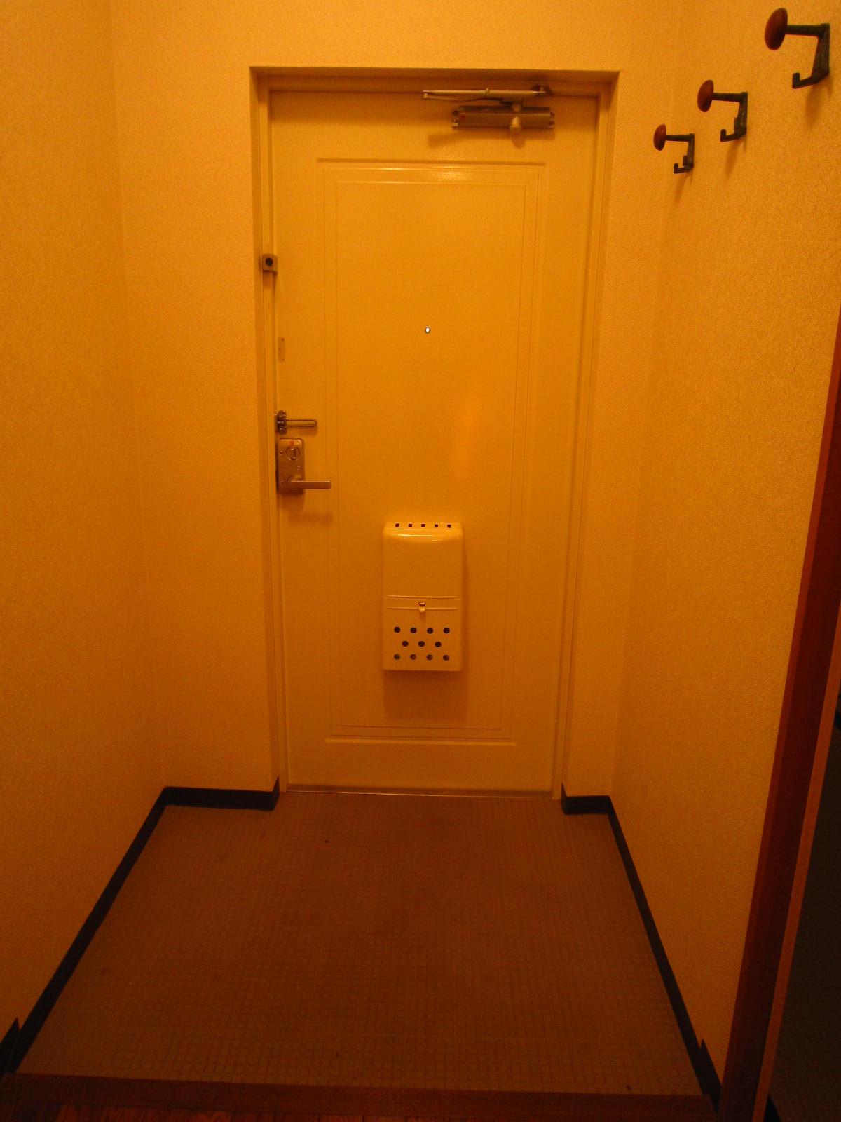 Entrance. Entrance With a coat hook Storage There is also convenient to buckwheat