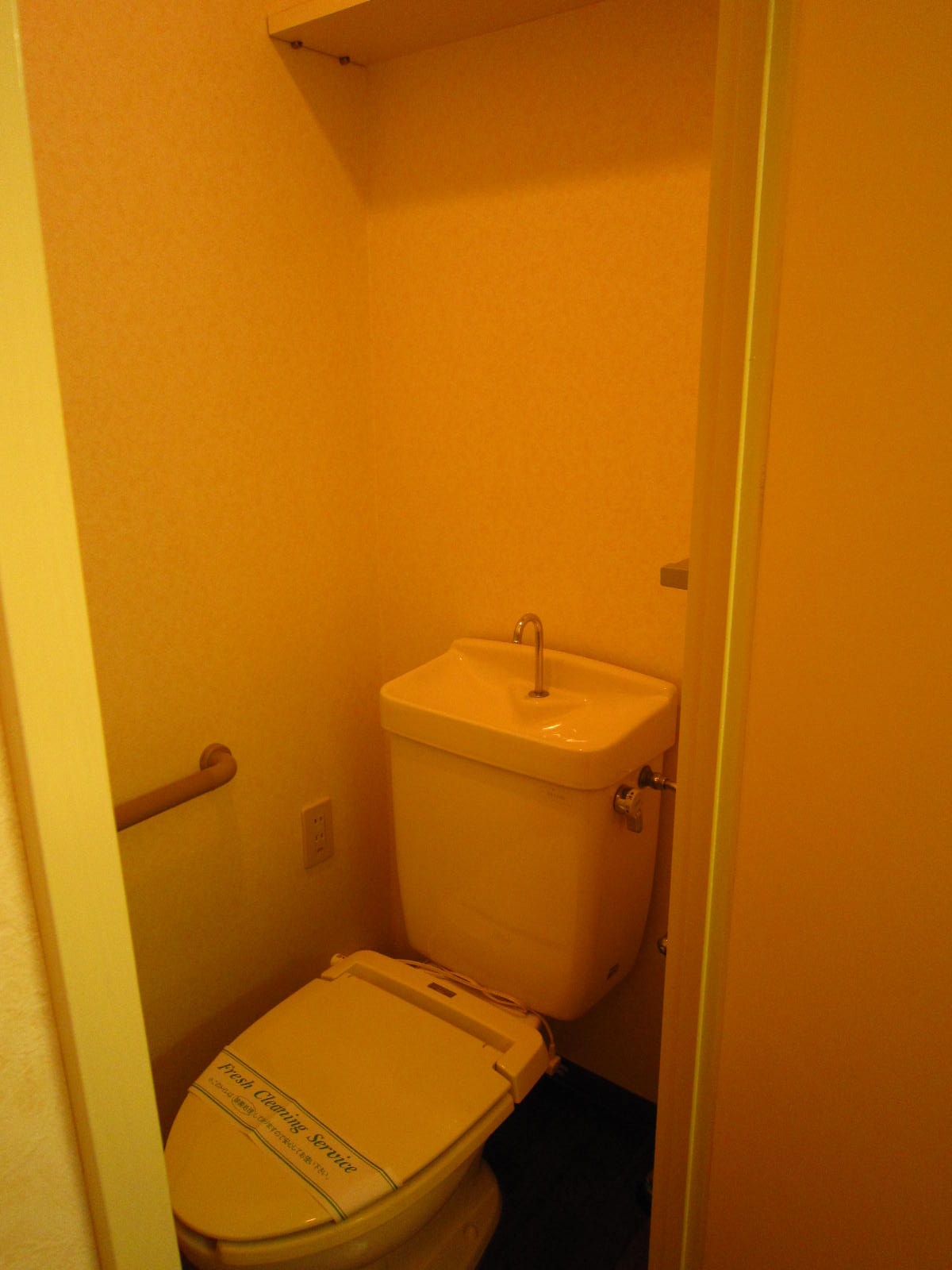 Toilet. toilet With shelf