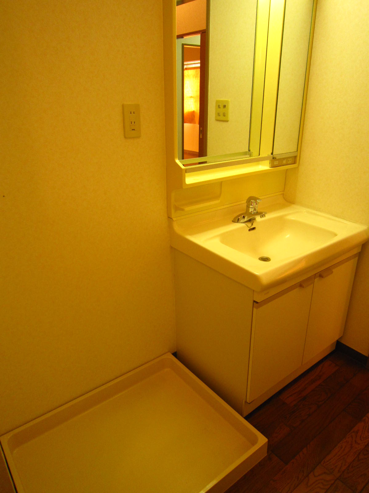 Washroom. Bathroom vanity, Washing machine Storage