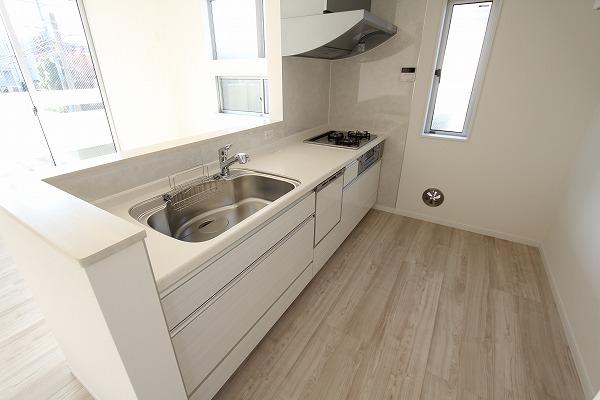 Kitchen. Indoor (11 May 2013) Shooting