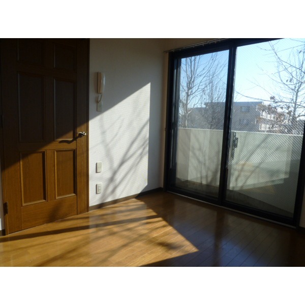 Living and room. Bright corner room