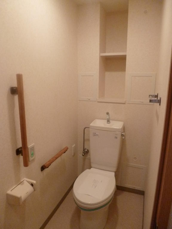 Toilet. Bright toilet no steps. handrail, With shelf.