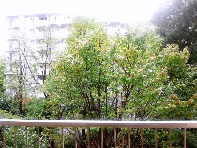 View photos from the dwelling unit