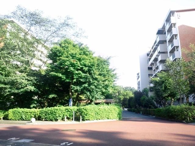 Other local. On-site