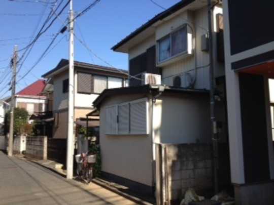 Local land photo. Appearance 1