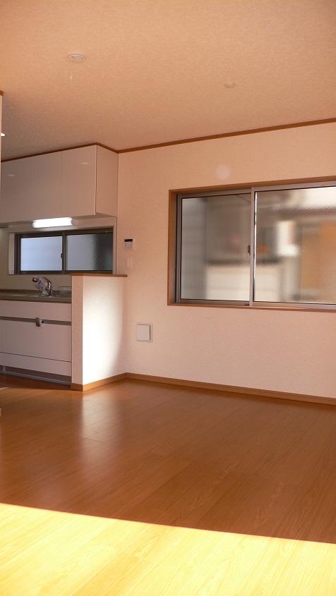 Living. Indoor (12 May 2013) Shooting