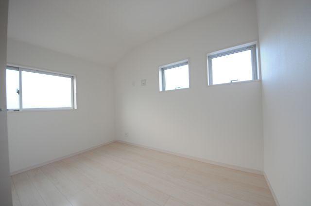 Other introspection. Indoor (25 December) shooting