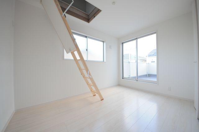 Other introspection. Indoor (25 December) shooting