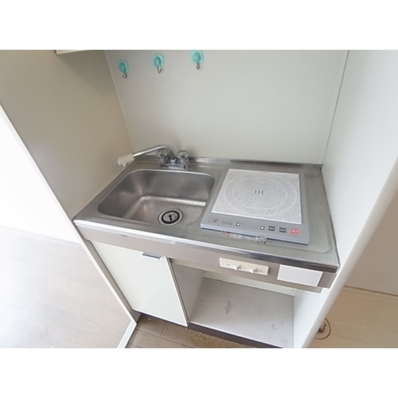 Kitchen. 1-neck IH heater