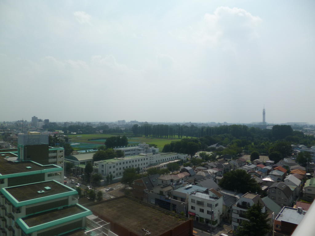 View. It looked good