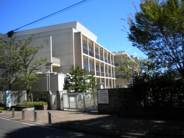 Primary school. Zelkova until elementary school 190m
