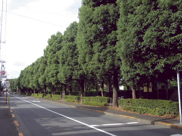 Surrounding environment. Around a tree-lined street (a 5-minute walk / About 400m)