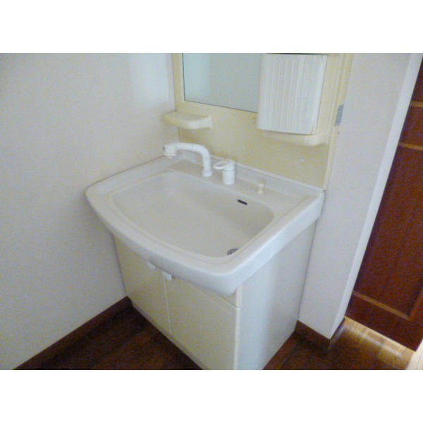 Washroom. Shampoo dresser