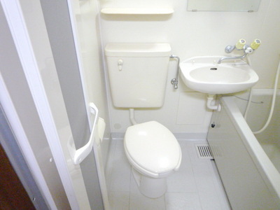 Toilet. Western-style toilet