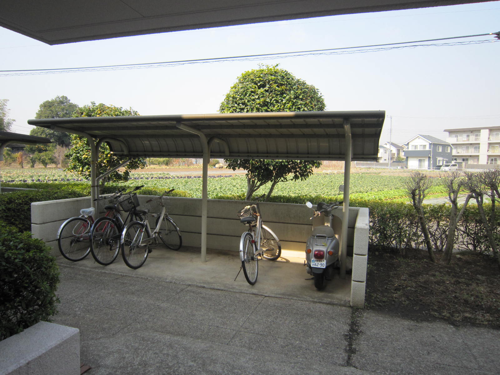 Other common areas. Bicycle parking lot (free)